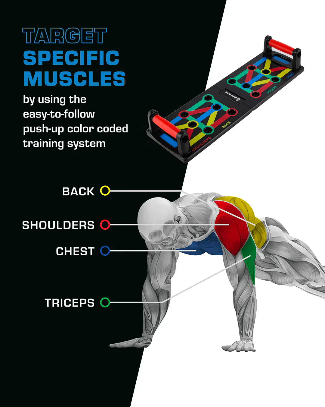 Genuine 14 in 1 Push-Up Board